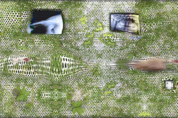 Grass Screen, a piece of mixed media art by Tishan Hsu