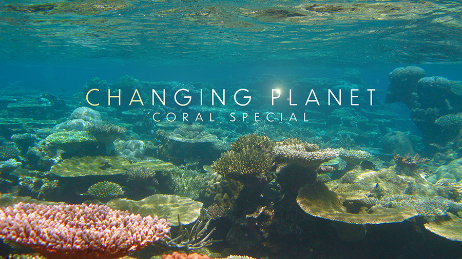 Changing Planet: Coral Special