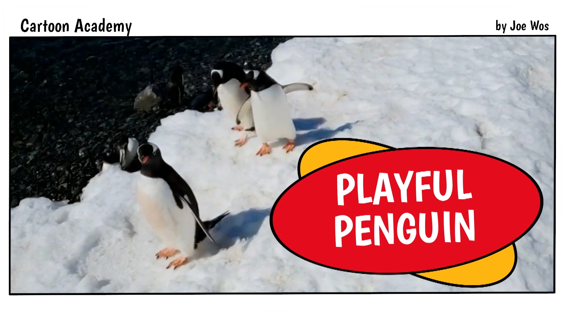 Playful Penguin